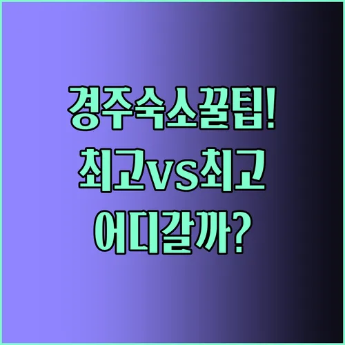 경주 숙소 선택 가이드 현대적인 블루365와 가족 친화적 라온펜션 달빛여행펜션 비교