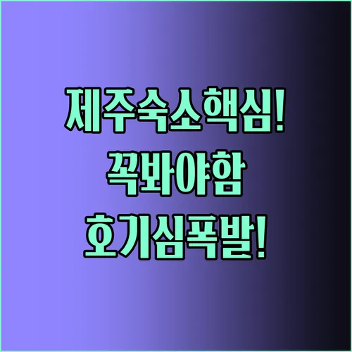 호기심 가득한 제주 여행을 위한 완벽한 숙소 가이드