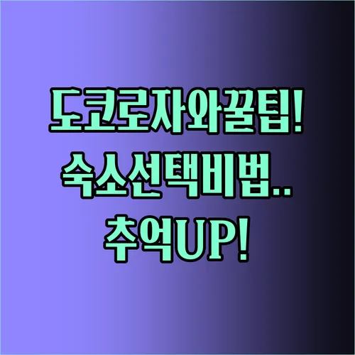 도코로자와 여행의 완성 숙소 선택으로 만드는 특별한 추억