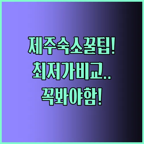 가족 커플 혼행까지 제주도 숙소 추천 미라클 호텔 제니아 호텔 호텔문 완벽 분석