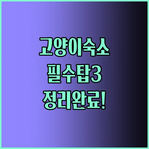 고양숙소 추천 탑3 완벽 정리