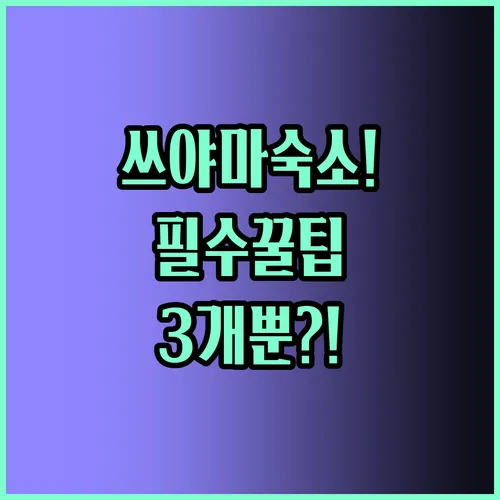 쓰야마숙소 추천 탑3 꿀팁 공개