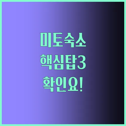 미토 숙소 추천 탑3 완벽 정리