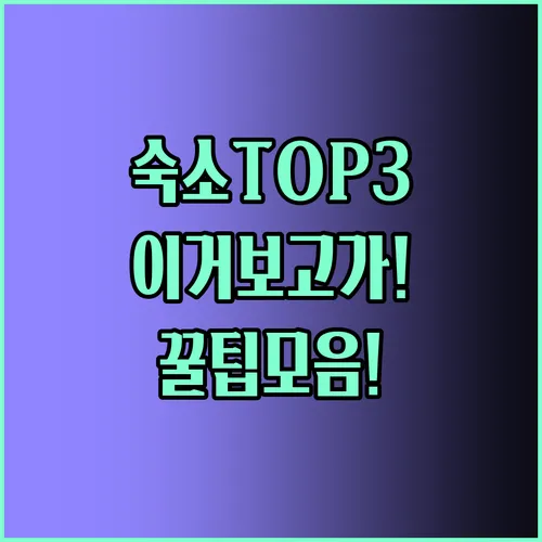 서귀포숙소 비교 추천 탑3 완벽 정리