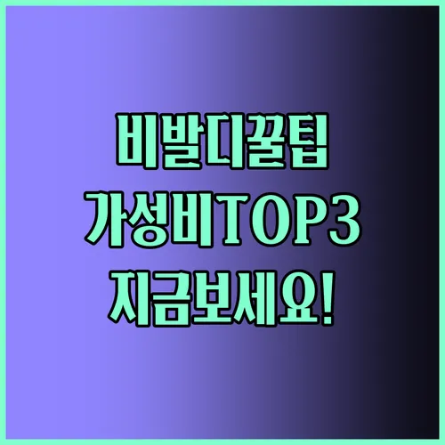 비발디파크 가성비 추천 탑3